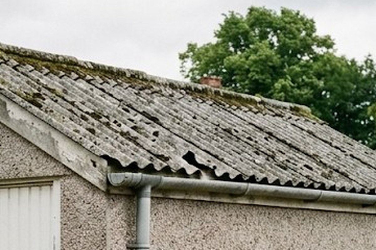 Close view of a mossy asbestos cement roof